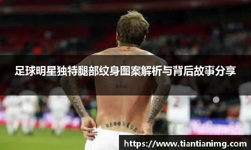 bsports官网入口